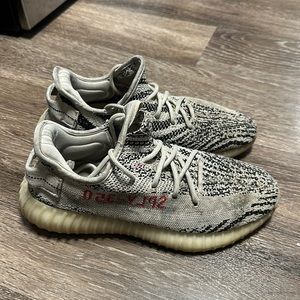 Adidas Yeezy boost 350 shoe